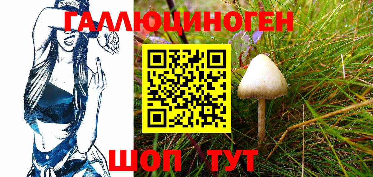Галлюциногенные грибы MAGIC MUSHROOMS Обнинск